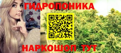 ГАЛЛЮЦИНОГЕННЫЕ ГРИБЫ Ставрополь